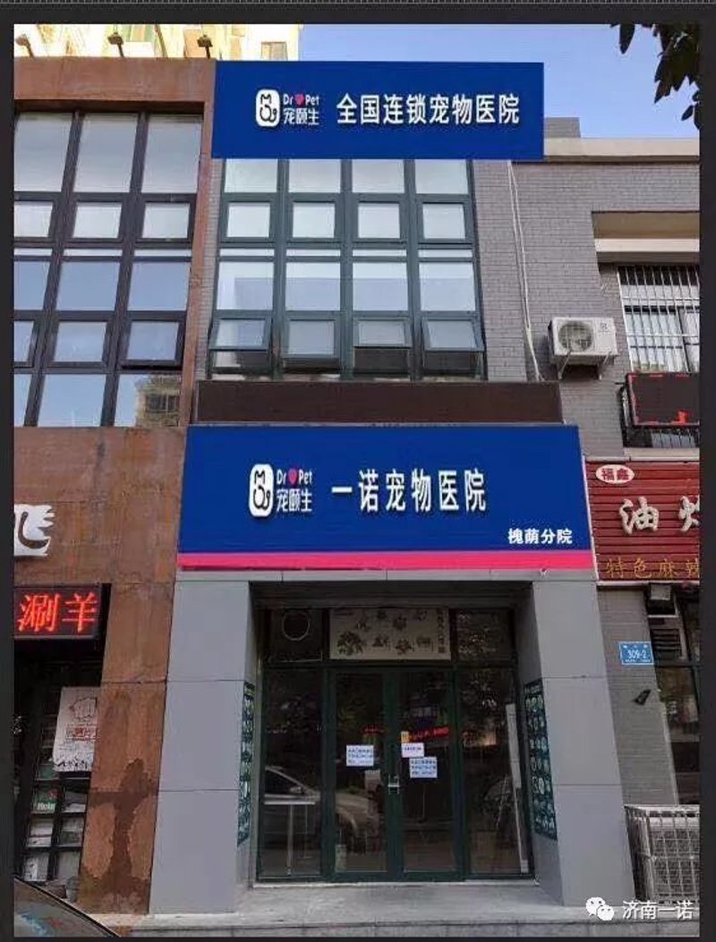 如何在家为宁波宠物猫营造一个舒适的环境?