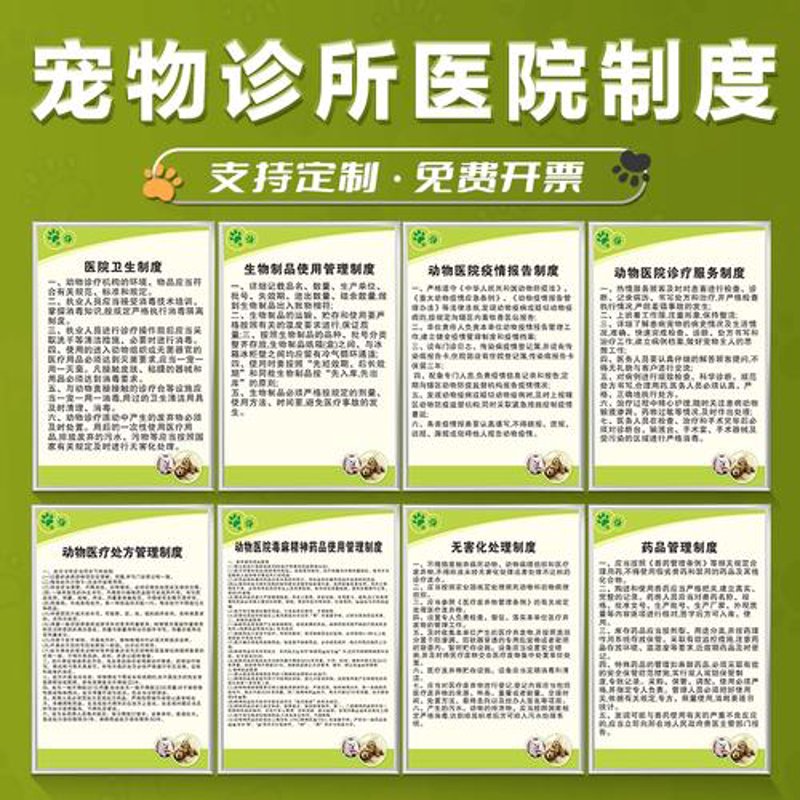 宁波宠物猫护理小贴士:让你的爱宠更健康