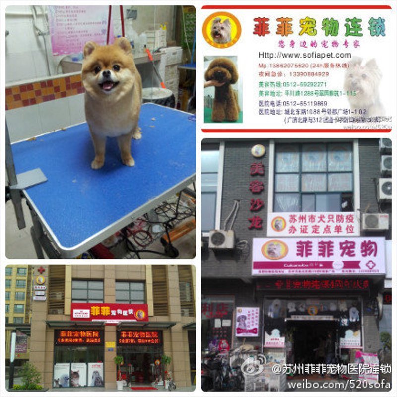 喵叔文玩，一款专为爱宠人士打造的产品，它究竟如何？让我们通过几个具体案例来一探究竟。